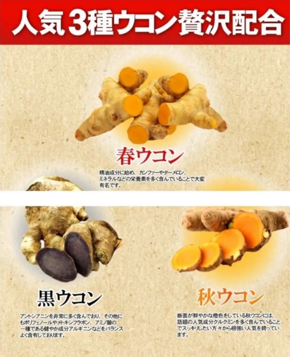 発酵黒にんにく卵黄サプリ+(マカ ウコン ビタミン アミノ酸など)6