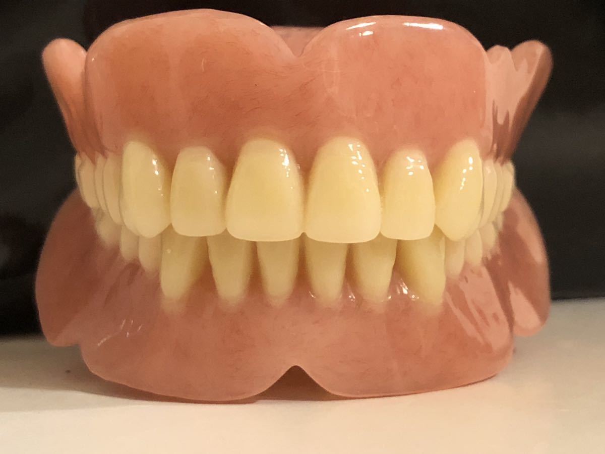 Yahoo!オークション - 義歯 総義歯 入れ歯 フルデンチャー サンプル 歯