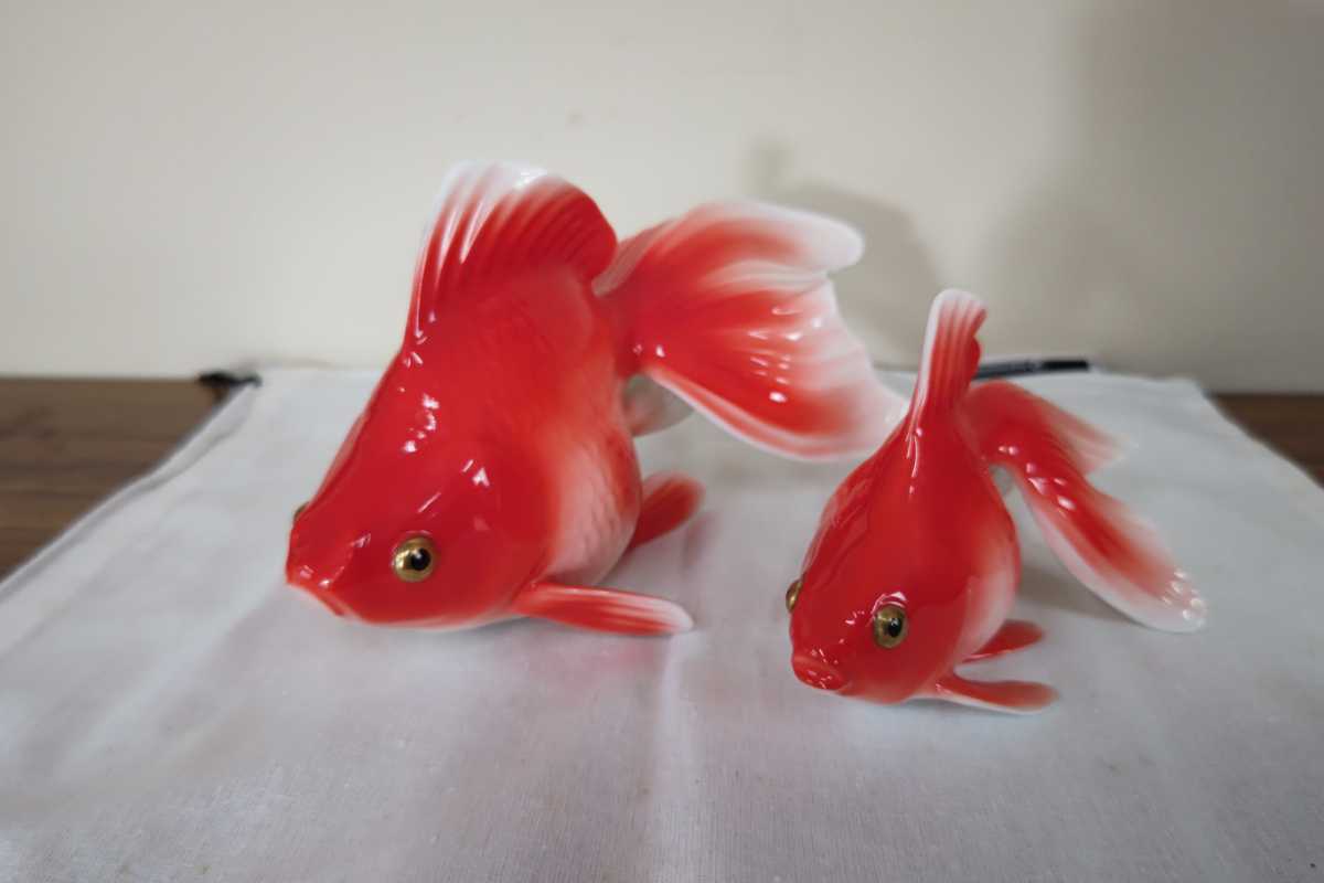 オールドノ オールドノリタケ 金魚 WjsQC-m55282875542 います - www