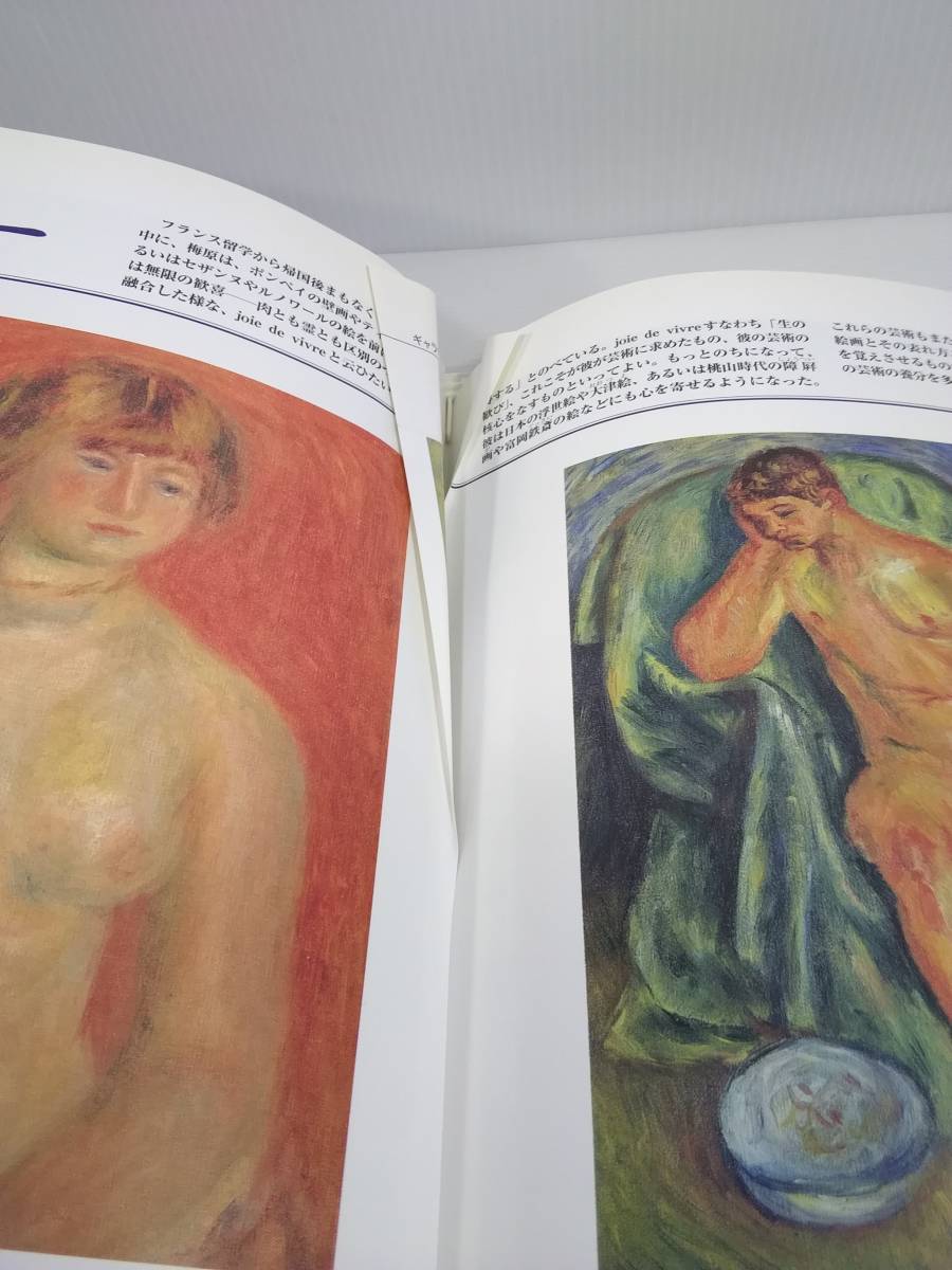 デアゴスティーニ 週刊アーティスト・ジャパン 美術全集 日本絵画の巨匠たち 1～49号　バインダー付き_38号折れあり