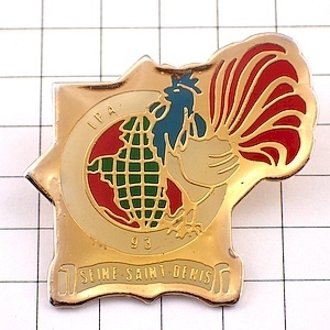  pin badge *IPA international police association * France limitation pin z* rare . Vintage thing pin bachi