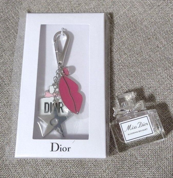 【巾着袋付き】クリスチャンディオール ロゴ キーホルダ シルバー 巾着袋付き】クリスチャンディオール ロゴ キーホルダシルバー