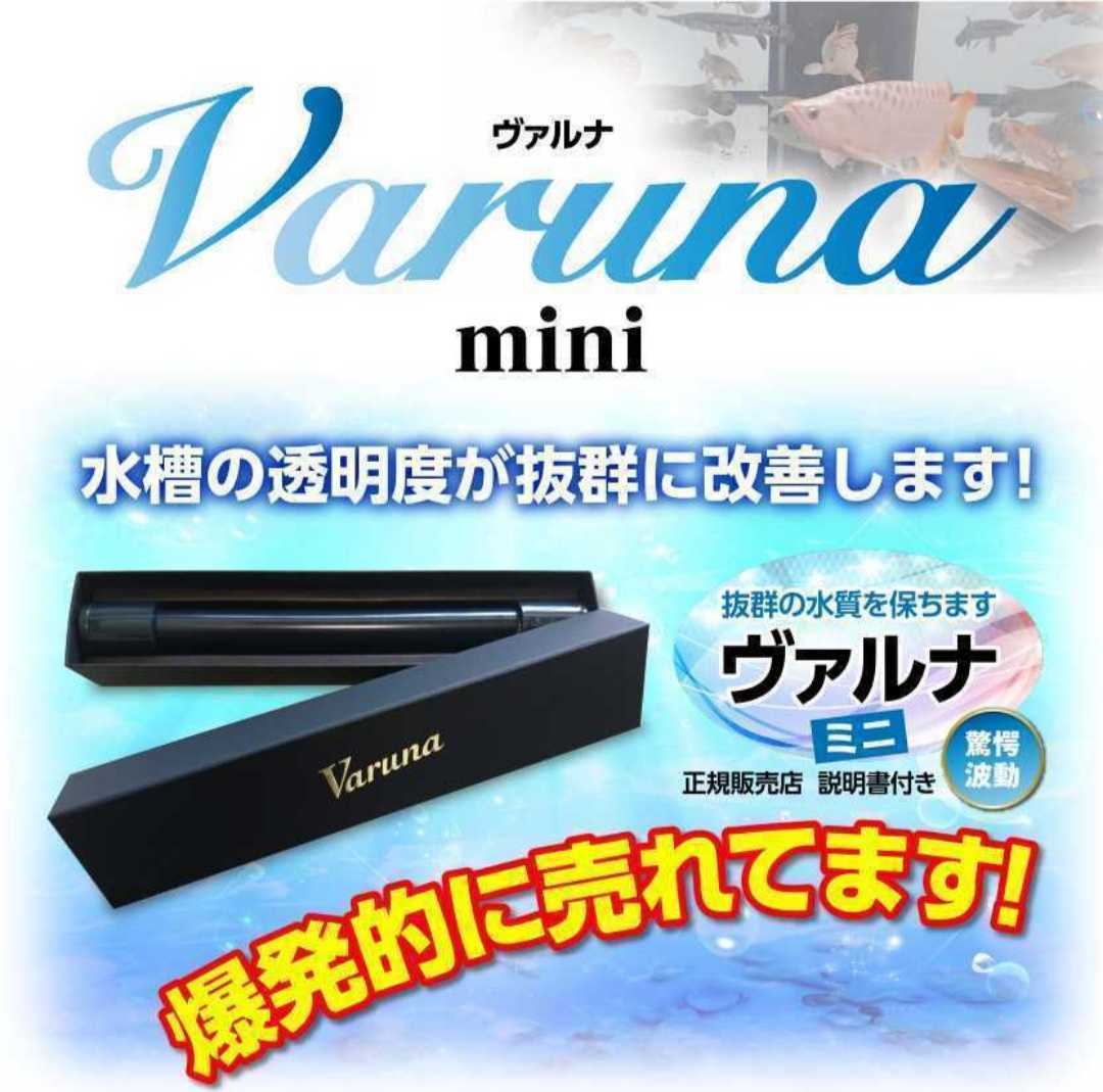 金魚の飼育者絶賛 水槽の水が綺麗になる 【ヴァルナ23㎝】水替え 金魚の飼育者絶賛 水槽の水が綺麗になる 【ヴァルナ23㎝】水替え