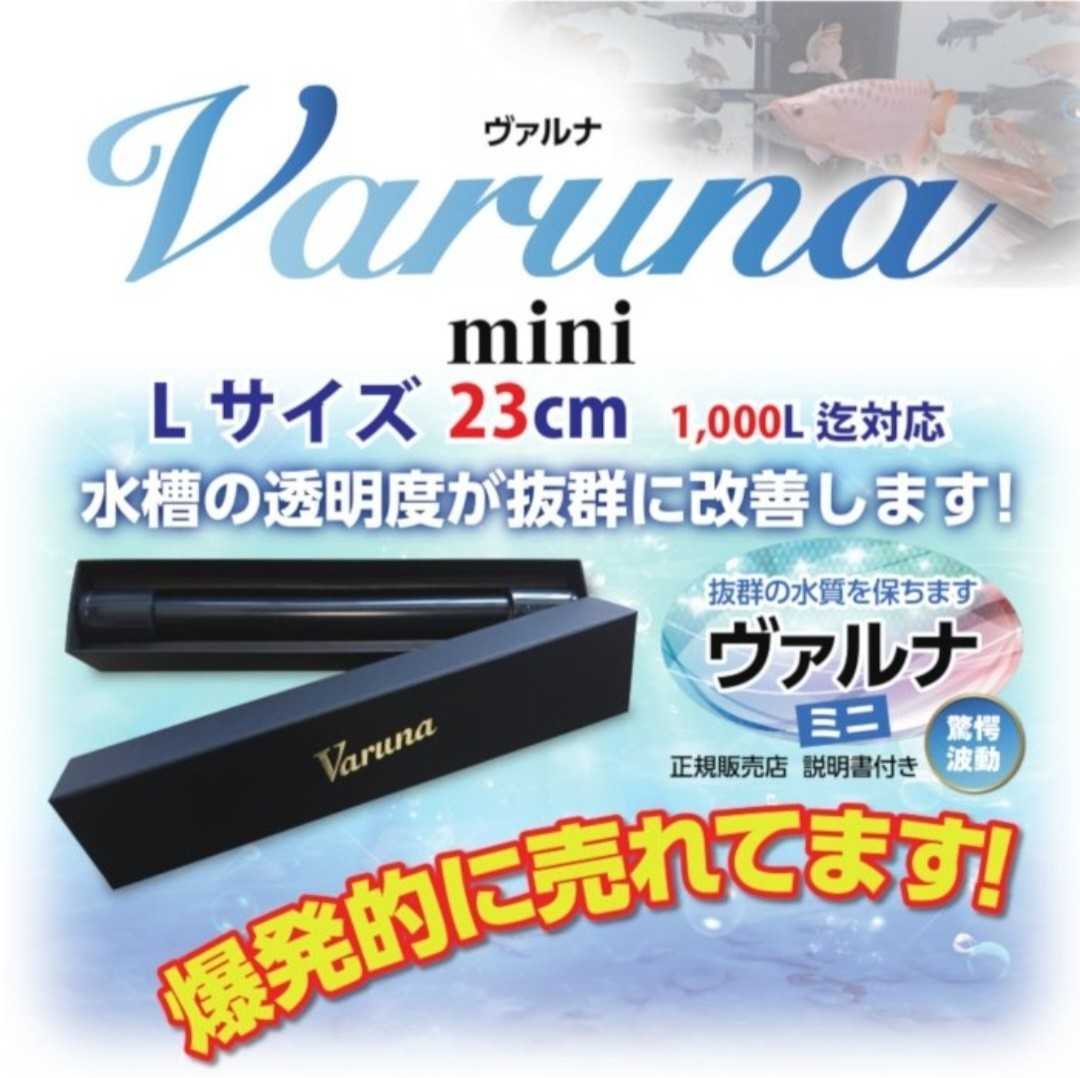 最新作 水槽の水が綺麗になります【ヴァルナ23㎝】水替え不要で透明度を抜群に保ちます!有害物質や病原菌も強力抑制!魚が元気に長生きします! ろ材 最新作 水槽の水が綺麗になります【ヴァルナ23㎝】水替え不要で透明度を抜群に保ちます!有害物質や病原菌も強力抑制!魚が元気に長生きします! ろ材