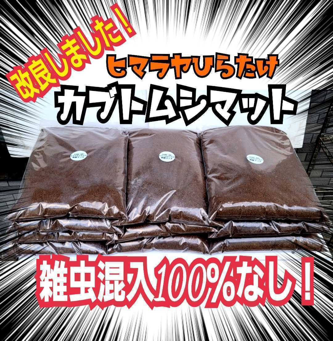  improvement version! interior manufacture!. insect . go in all . none! domestic production rhinoceros beetle . eminent! larva . round futoshi .! nutrition addition agent combination! departure . mat [2 sack ] convenient zipper attaching sack go in 