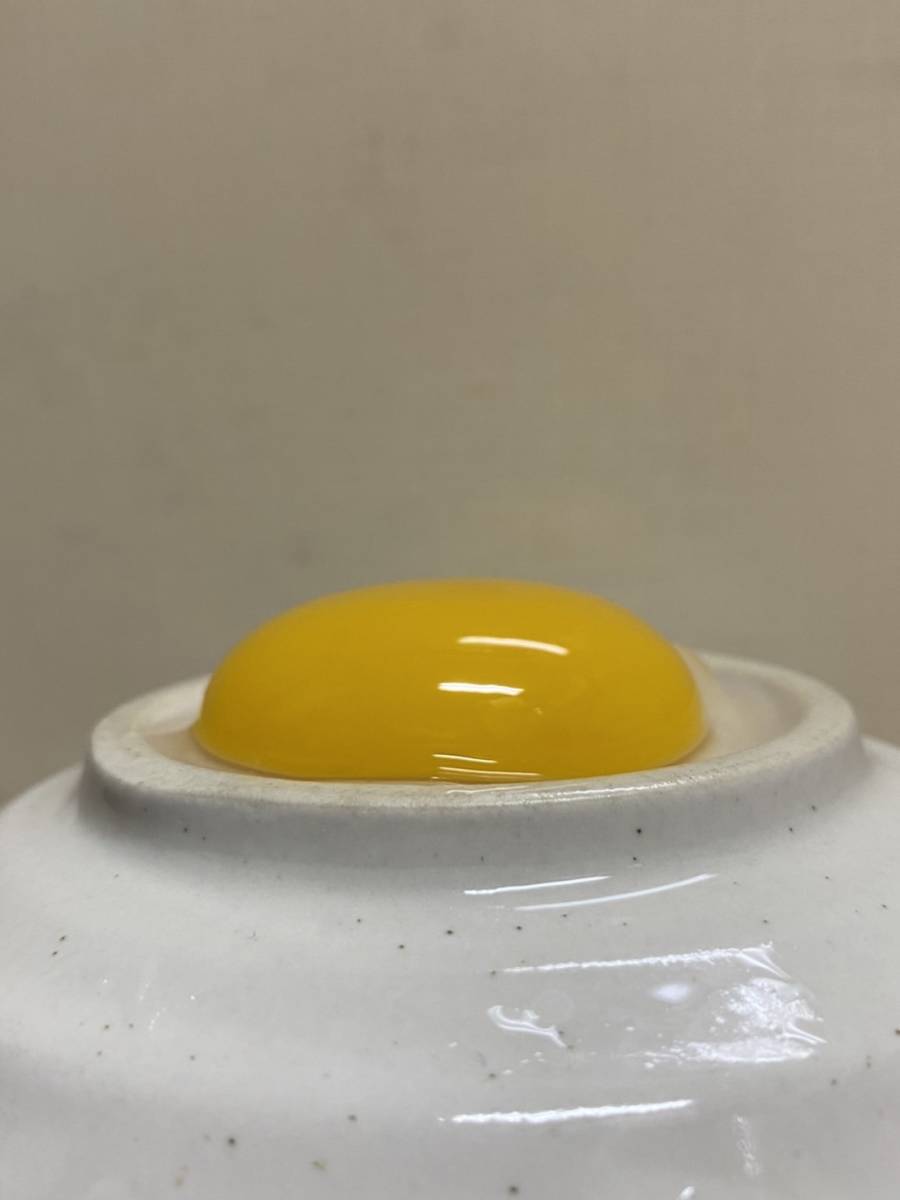 【食用無洗卵】　コールダック　ホワイト　有精卵　2個_画像3