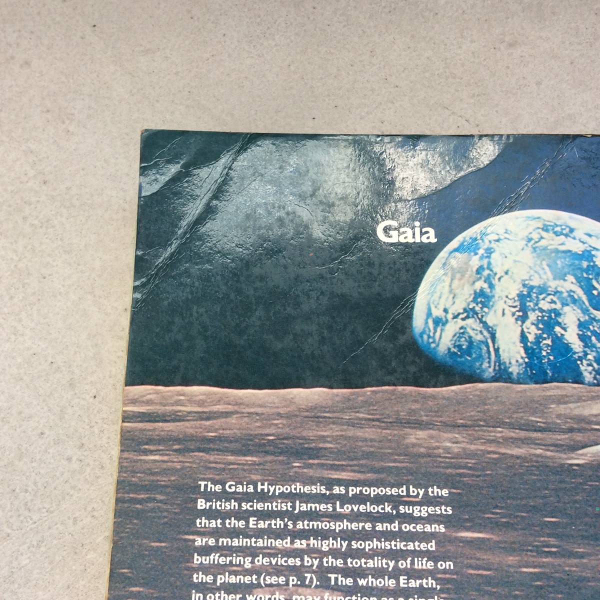 THE NEXT Whole Earth Catalog ホールアースカタログ 大特価 32%割引
