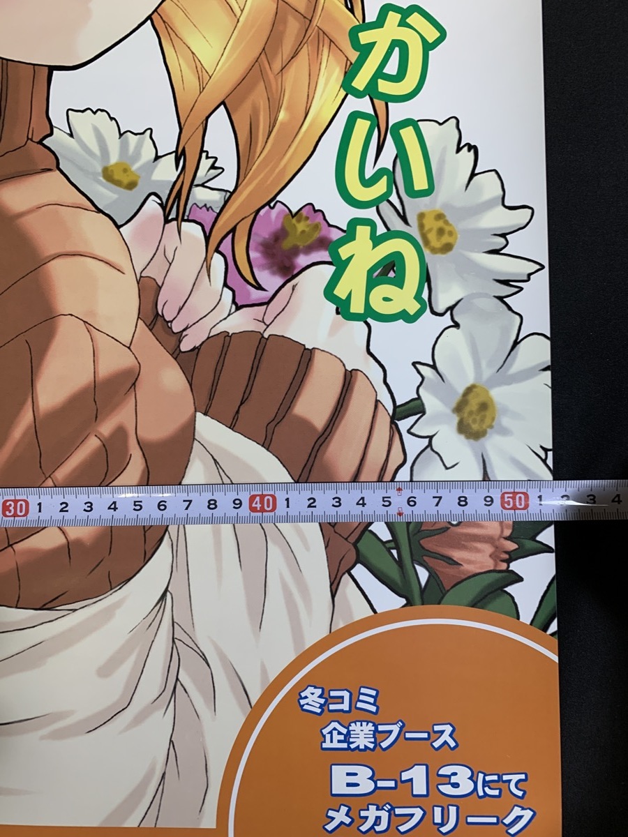 『アニメコレクター放出品 ポスター「COMIC MEGA FREAK メガフリーク」ANIME Japancool』_画像7