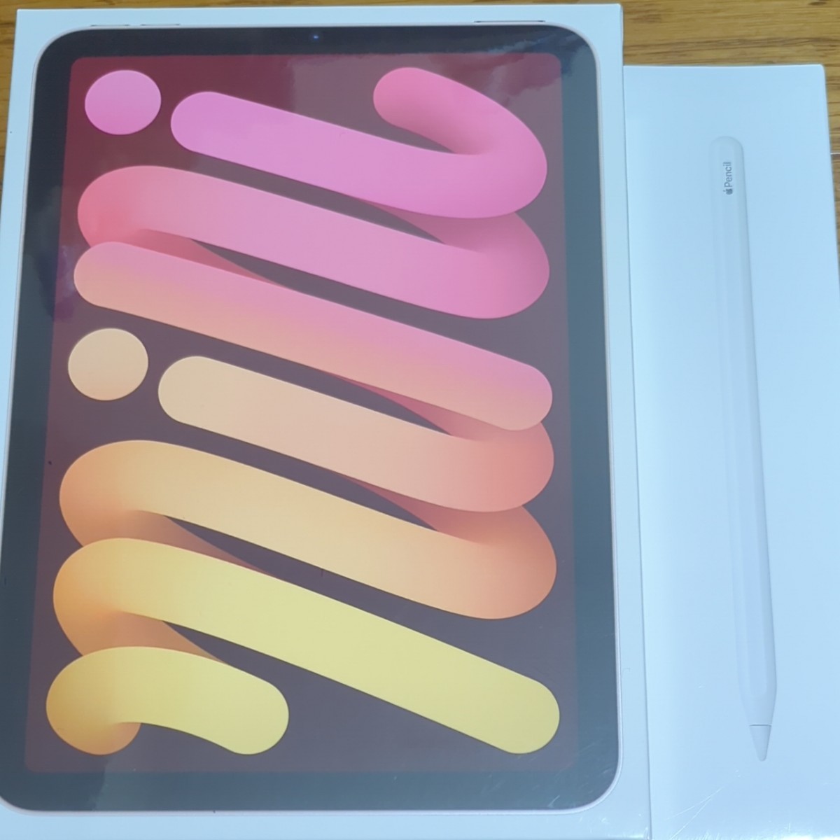 iPad mini6 64GB ピンク wi-fiモデル smkn1geger.sch.id