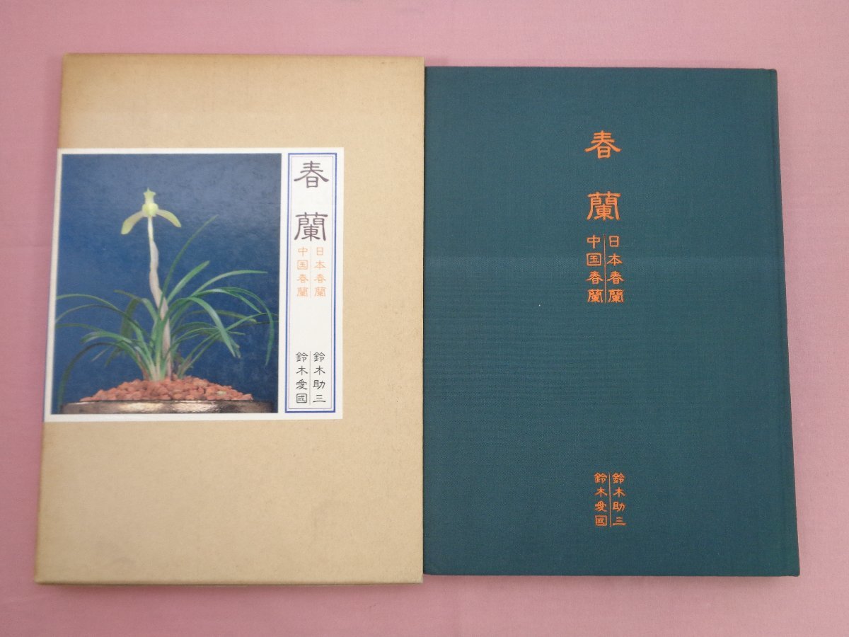 [ весна орхидея Япония весна орхидея * China весна орхидея ] Suzuki . три Suzuki love . день текст . фирма 