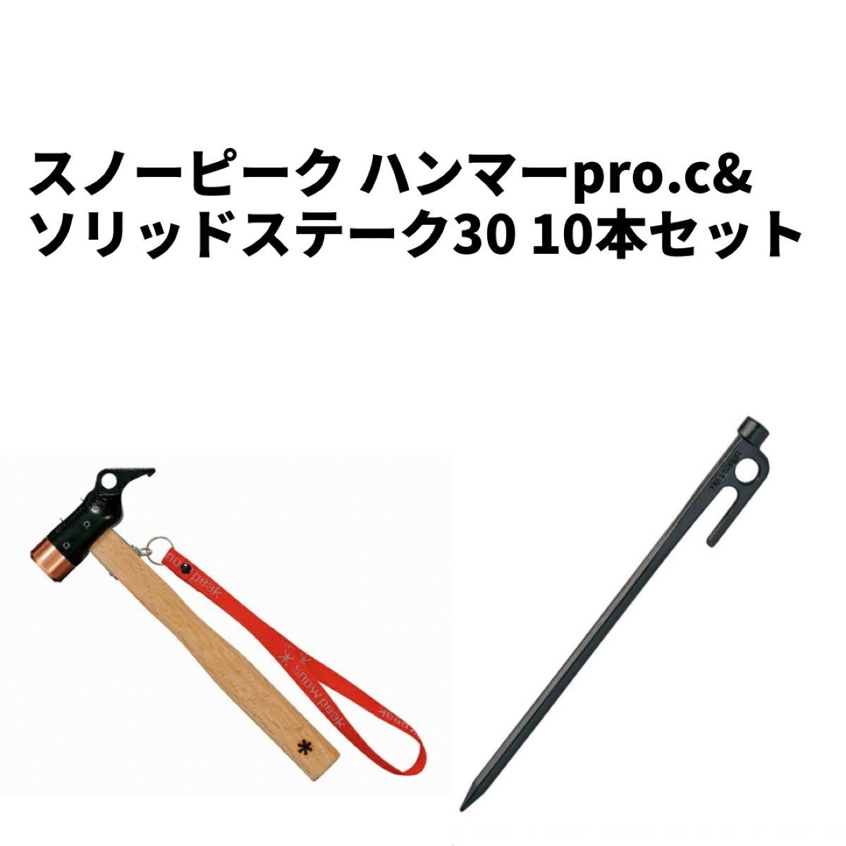 キャンプ設営用具 スノーピーク ペグハンマーPRO.C+マルチコンテナS+
