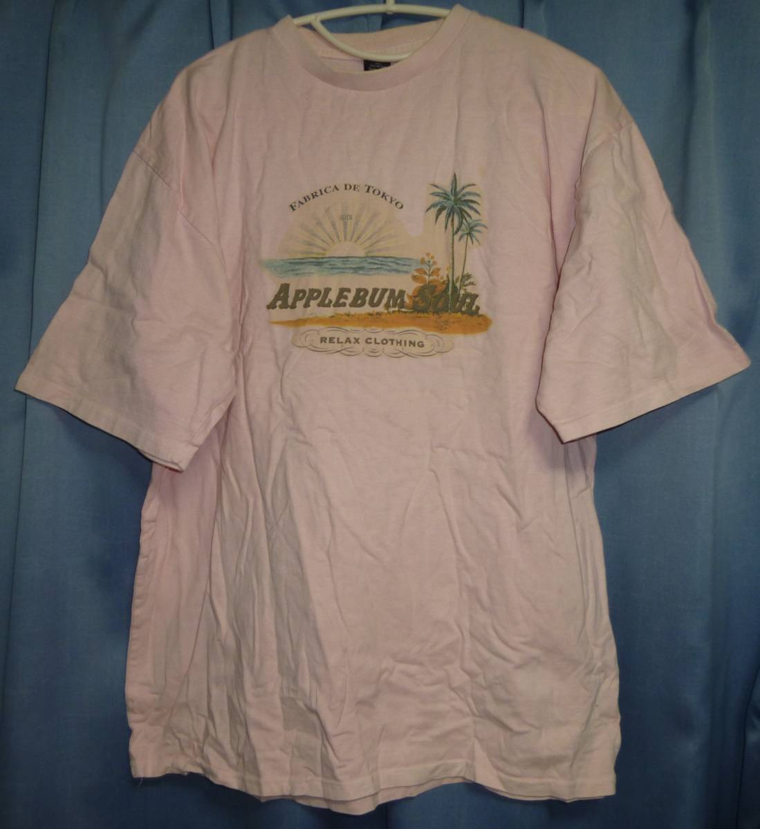 初期物　APPLEBUM Tシャツ XL_画像1