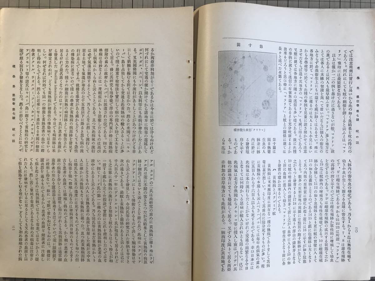 『理学界 明治三十七年 第一巻第七号』林鶴一・和田猪三郎・蜜蜂の巣・内接正十七角形の作図・鳥類と数の観念 他 理学界社 1904年刊 02273_画像10