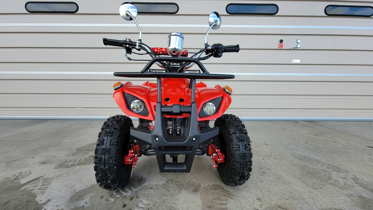 組み立て済み　RED ZONE POKEバギー ミニカーATV ５０cc バッテリー発電ジェネレーター搭載 セルスターター装備パワーユニット_画像3