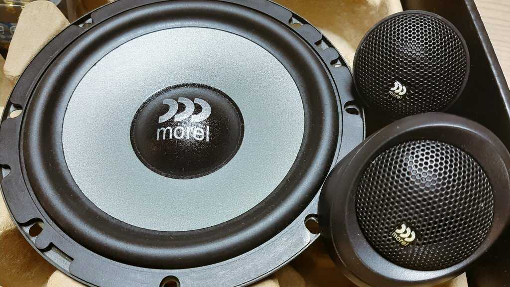 低価最安値 訳あり 新品 送料無料 モレル morel maximo 6.5in