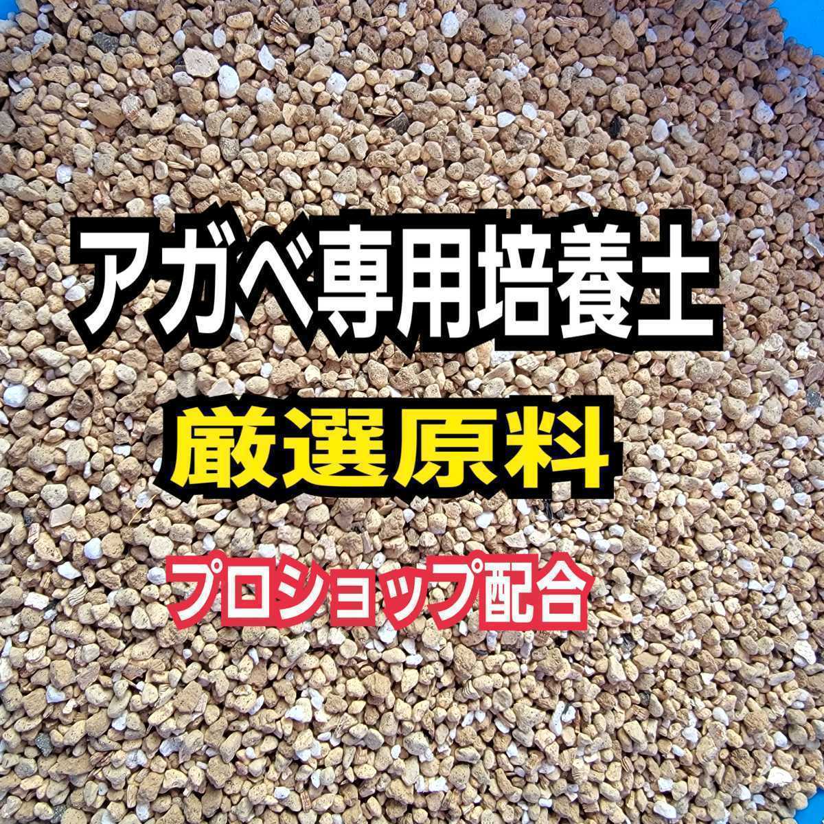 アガベ　専用培養土【2L】プロショップが原料にこだわり抜群の配合で完成させた特選品　これ1つあればバッチリ育成OKです　多肉植物全般に_画像4