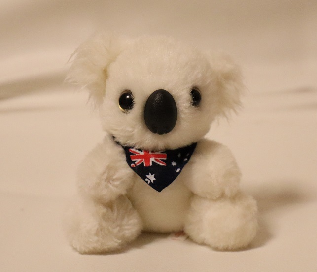  rare! abroad earth production koala national flag apron attaching soft toy Australia AUSTRLIA white height approximately 10cm