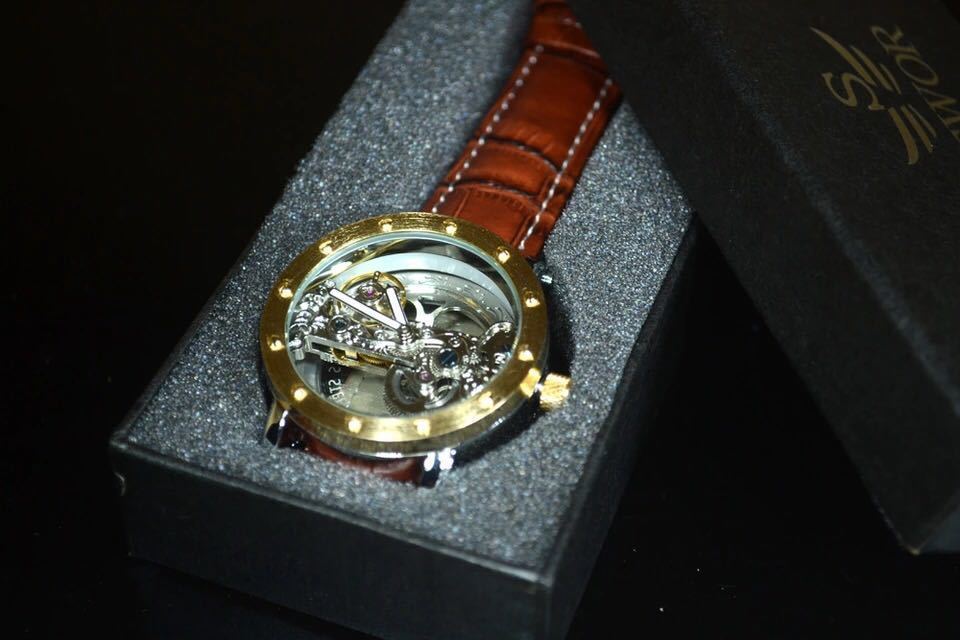 メンズ 腕時計 フルスケルトン TIEDAN 機械式上時計 自動巻 スケルトン ゴールド トゥールビヨン ブラウン 革 バンド_画像3
