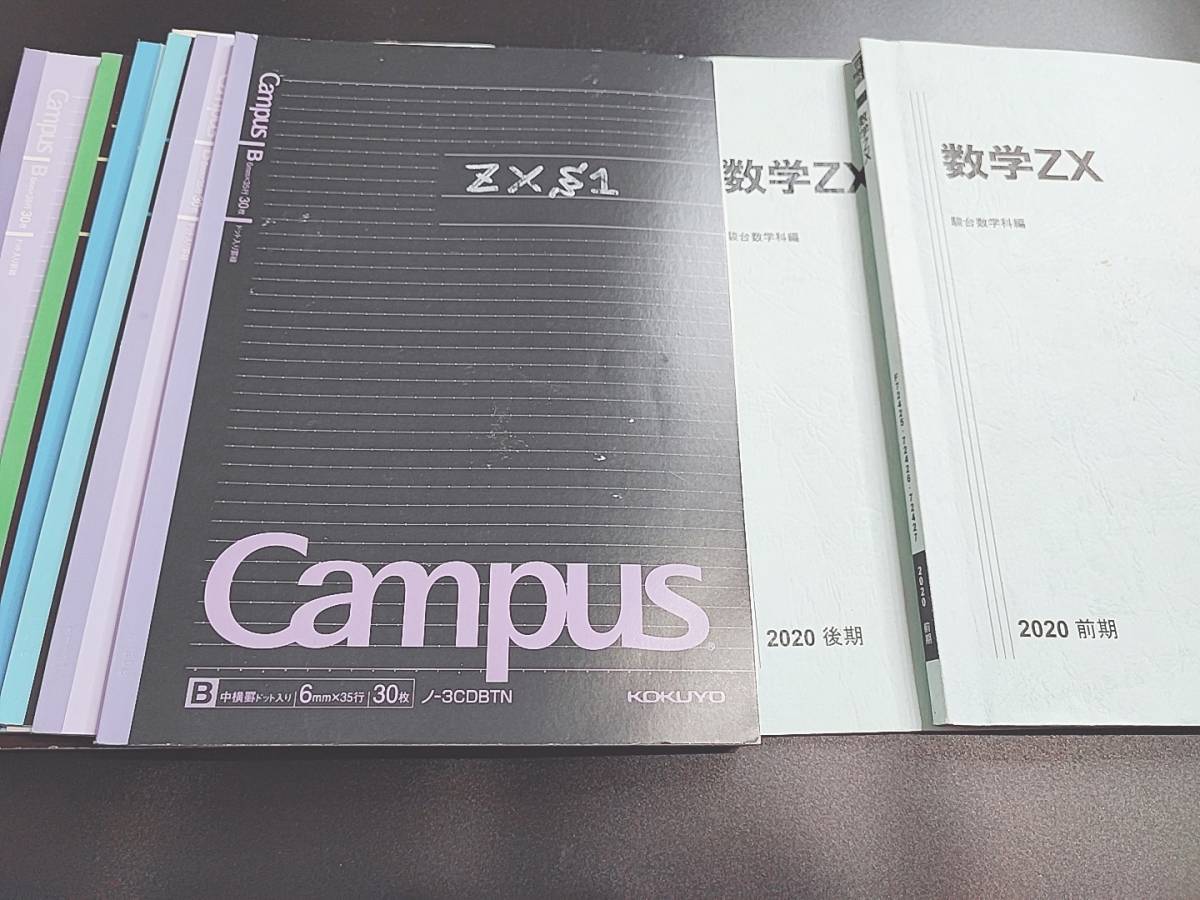 駿台 19年度通期 数学ZX テキスト・プリント 関西最上位SSクラス 