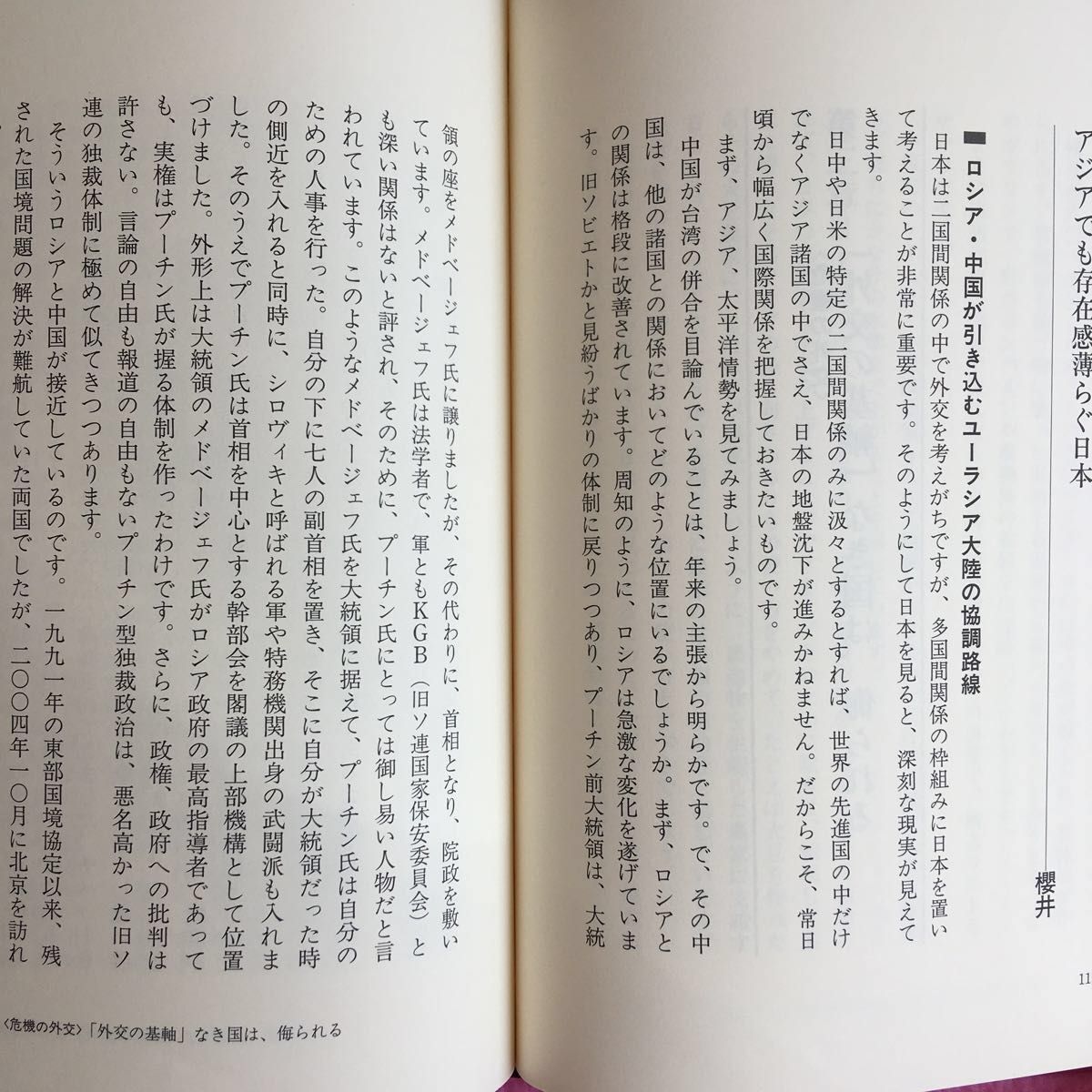 国家への目醒め　賢く勁き日本へ 田久保忠衛／著　桜井よしこ／著