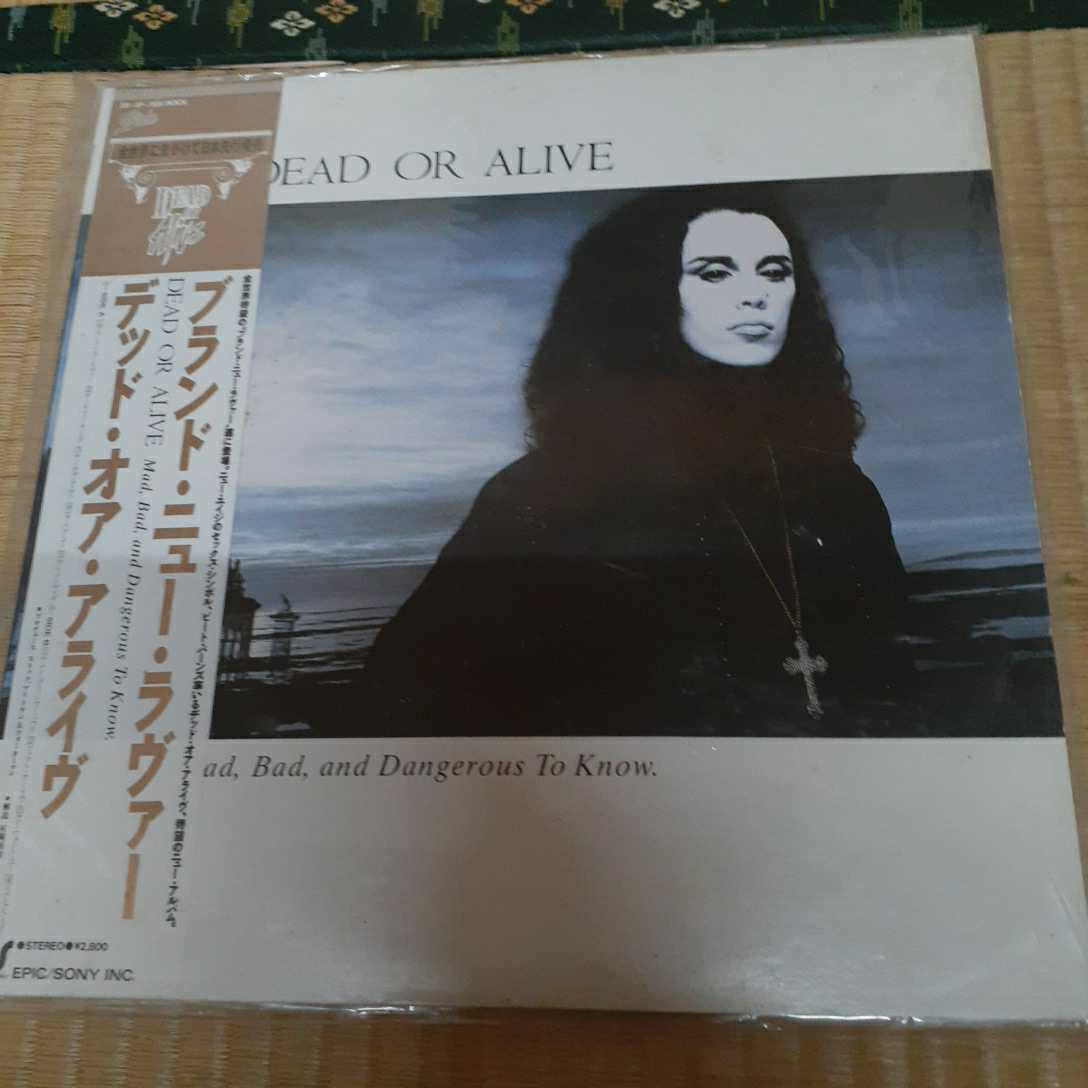 ★激安激レア dead or Alive/mad bad and dangerous to know ブランドニューラヴァー 本物！大名盤！　日本盤　帯付き