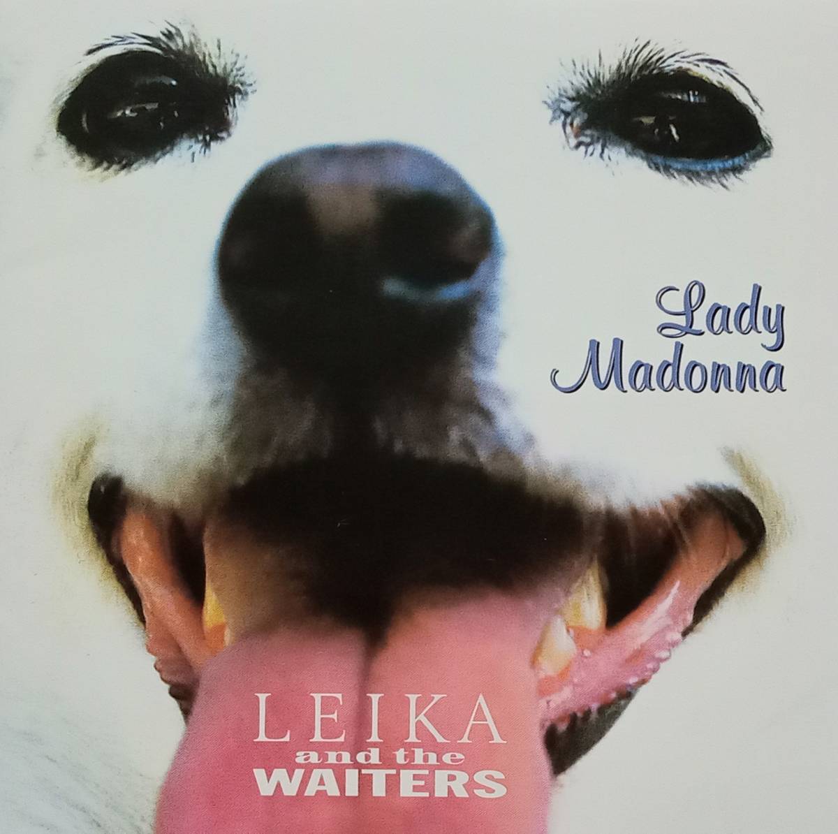 ◇ROCK◇LEIKA and the WAITERS(レイカ＆ザ・ウェイターズ)／LADY MADONNA(レディー・マドンナ) ※'94年盤 送料別 匿名配送_画像1