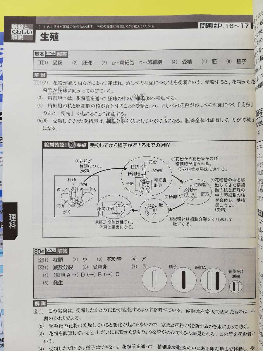 Paypayフリマ 21年 進研ゼミ中学講座 中3 理科 社会 定期テスト暗記book 予想問題 解答解説集 実力テスト対策にも Paypayフリマ 21年 進研ゼミ中学講座 中3 理科 社会 定期テスト暗記book 予想問題 解答解説集 実力テスト対策にも