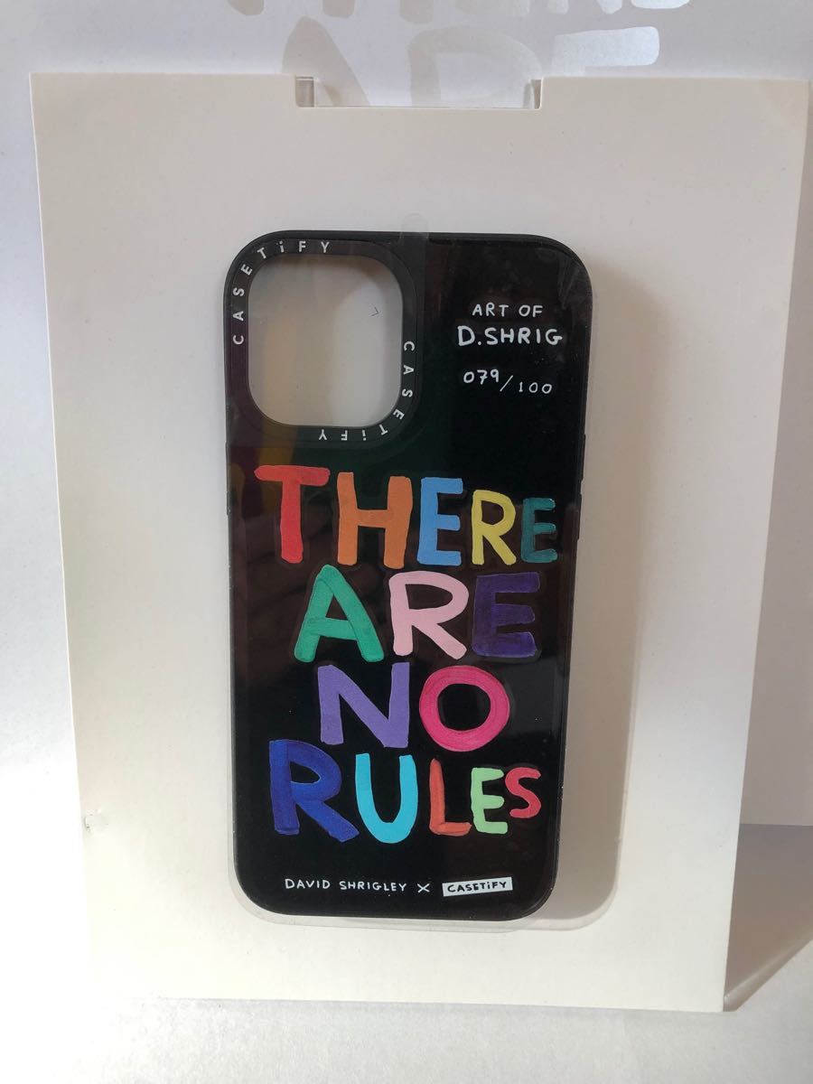 iPhone12 pro Max用ケース　David Shrigley x CASETiFY限定ケース（額縁付）限定100  希少