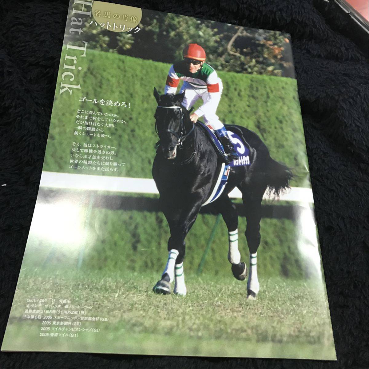 ［JRA現地レーシングプログラム］2017マイルチャンピオンシップ 京都競馬場_画像2