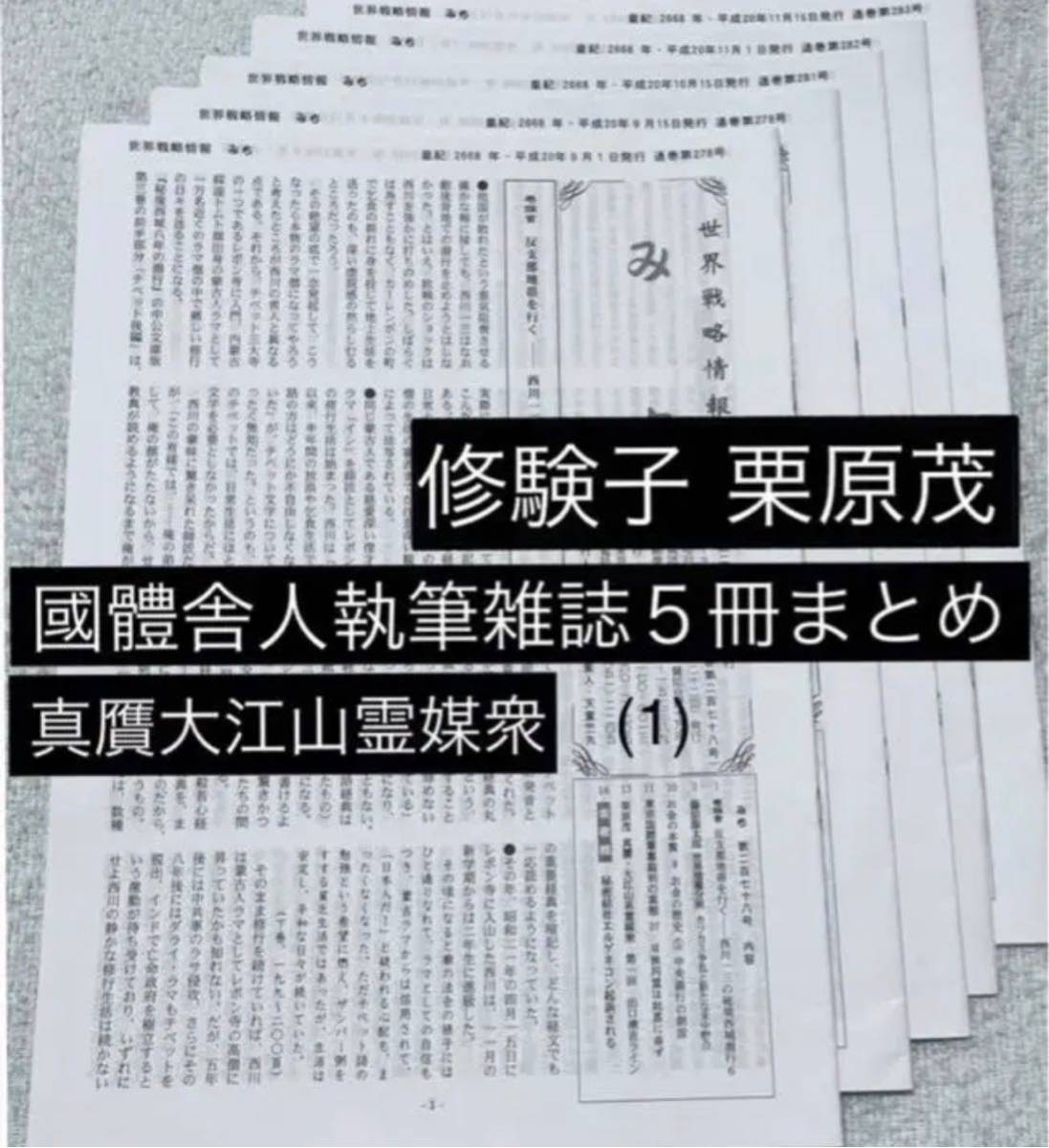 値段交渉ok 國體舎人執筆雑誌記事まとめセット 落合莞爾関連 本・音楽