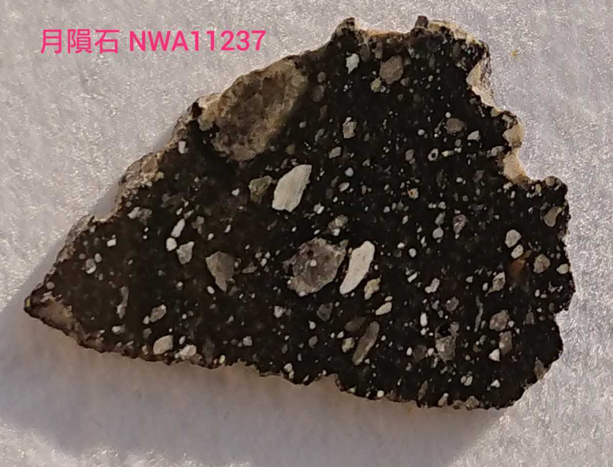 【激レア】月隕石 NWA11237 1.8g 1