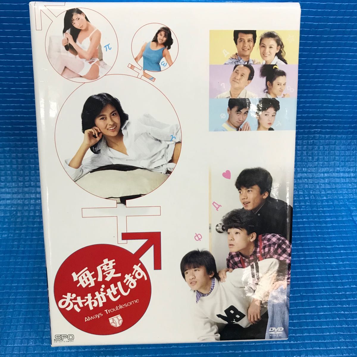 毎度おさわがせします DVDボックス 中古 美品 - carreyrat.fr