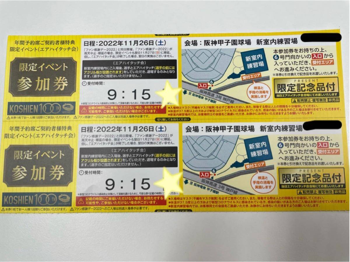 最新な 阪神電車甲子園駅入場券 阪神タイガース優勝記念