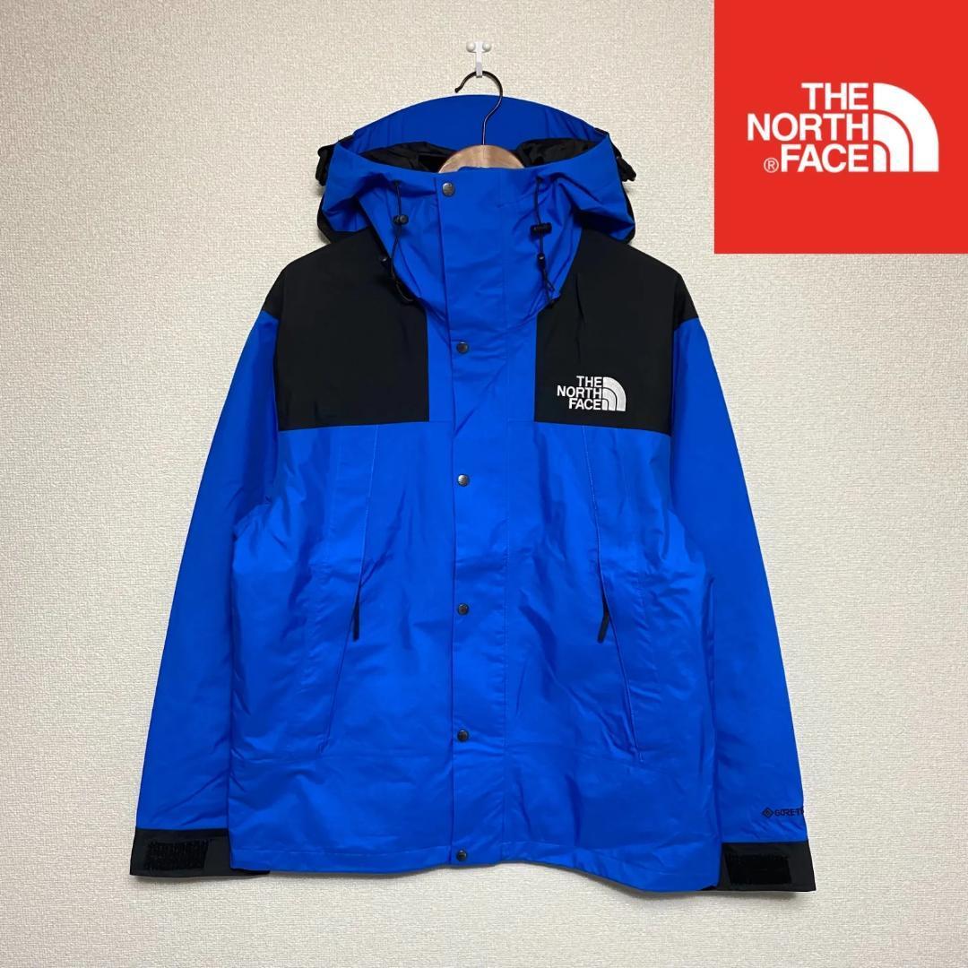 【日本未発売】 海外限定品 THE NORTH FACE GTX Gore-Tex MOUNTAIN JACKET 2022 ノースフェイス  ゴアテックスマウンテンジャケット Lサイズ