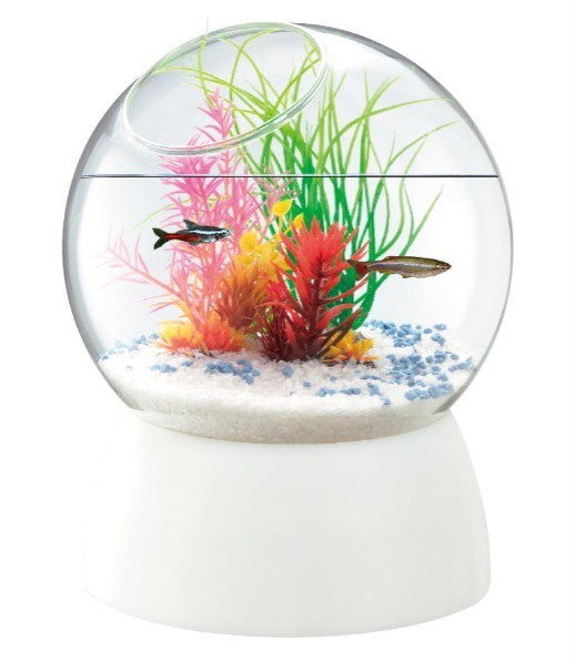  ликвидация запасов niso- стол aqua подставка pot комплект тропическая рыба * аквариум / аквариум * аквариум / аквариум комплект 