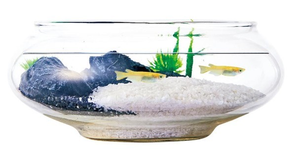  ликвидация запасов niso- стол aqua Flat pot S комплект тропическая рыба * аквариум / аквариум * аквариум / аквариум комплект 