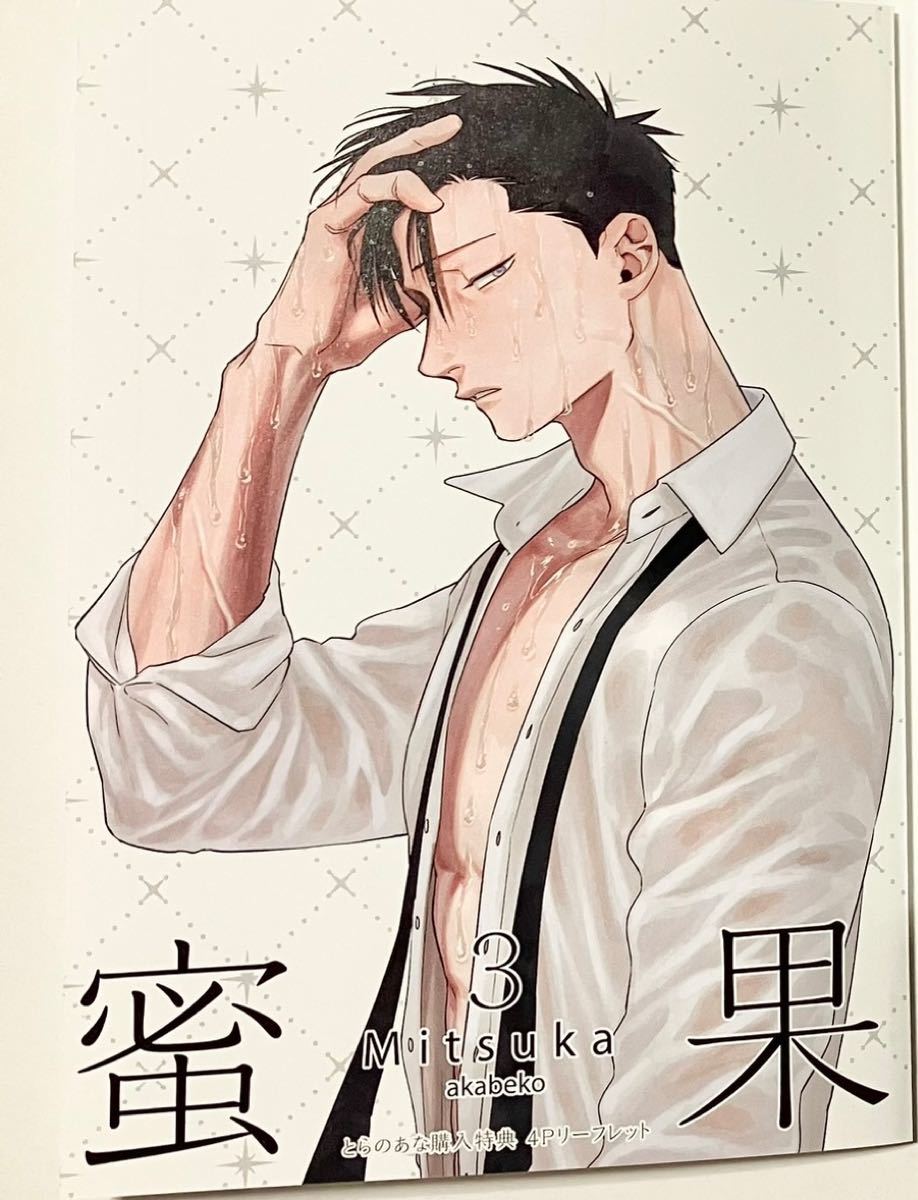 充実の品 密果3巻 akabeko 特典セット 女性漫画 - education.semel