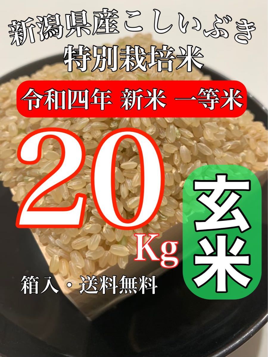 〈送料・精米無料〉新米令和5年度 新潟県五泉産コシヒカリ玄米30キロ