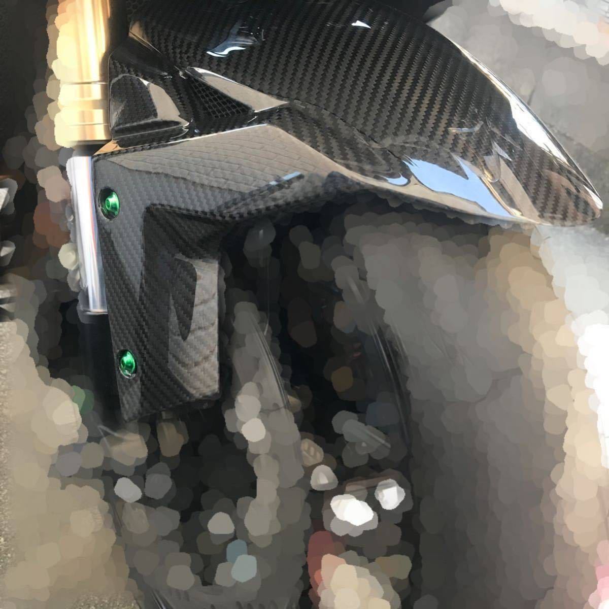 送無 ドライ カーボン 綾織 艶有り フロント フェンダー KAWASAKI