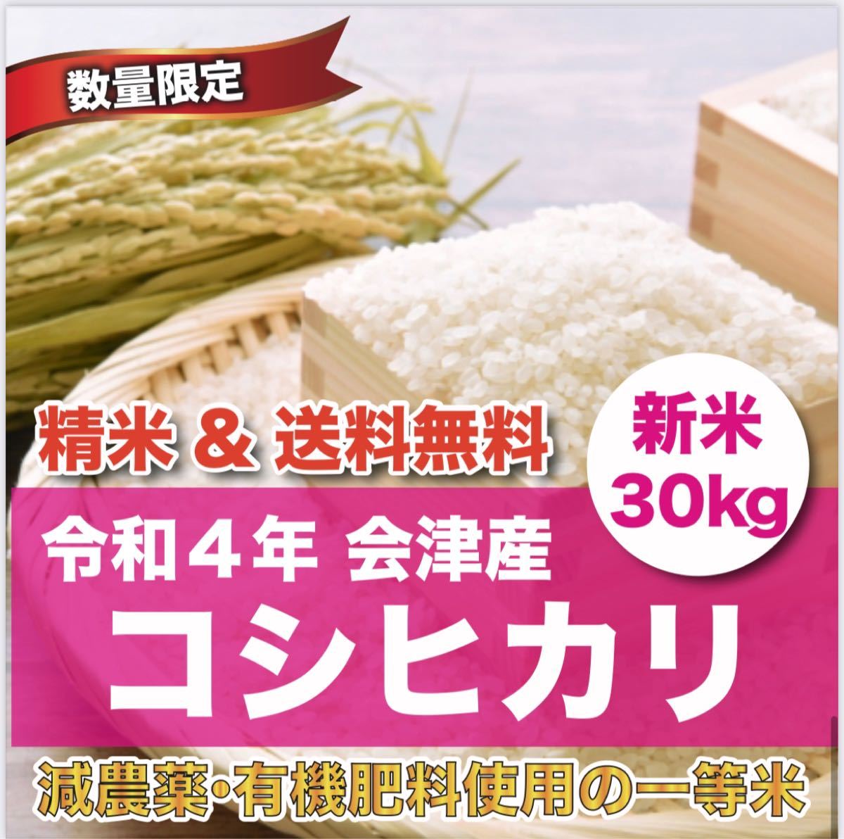 最大95%OFFクーポン 令和4年産新潟コシヒカリ 白米5kg×1個 農家直送 色彩選別済29