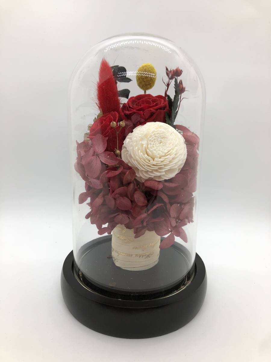  preserved flower gift .. not flower glass dome LED light attaching red / present birthday Christmas dry flower 