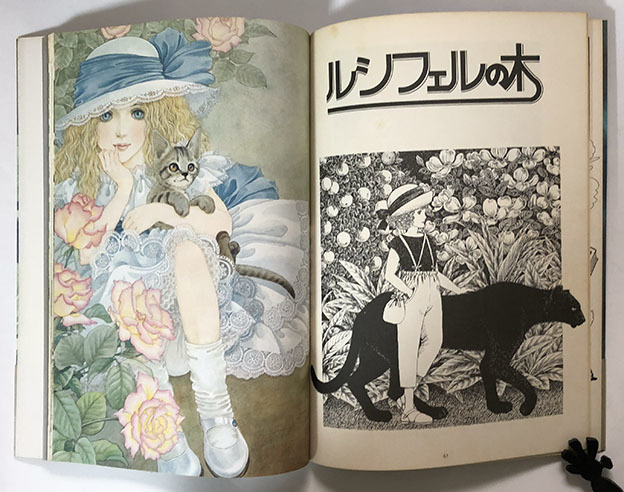 白雪姫幻想 内田善美 - HANAMUGURI - イラスト集、原画集 白雪姫幻想 内田善美 - HANAMUGURI - イラスト集、原画集
