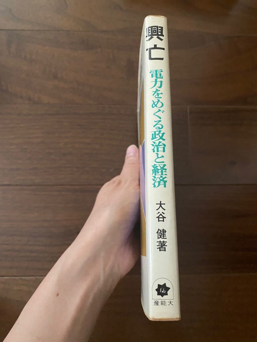 興亡 : 電力をめぐる政治と経済