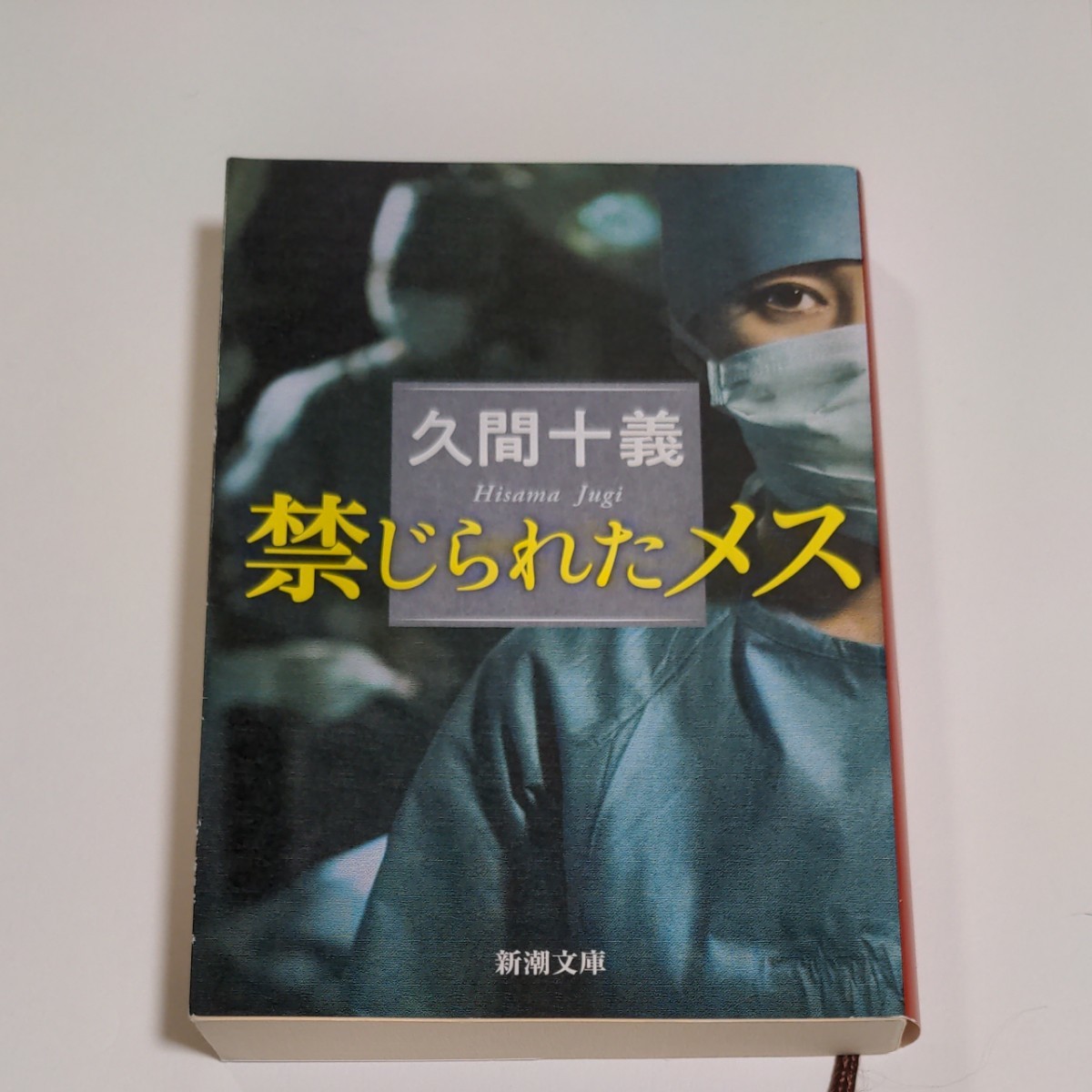 禁じられたメス （新潮文庫　ひ－３０－７） 久間十義／著