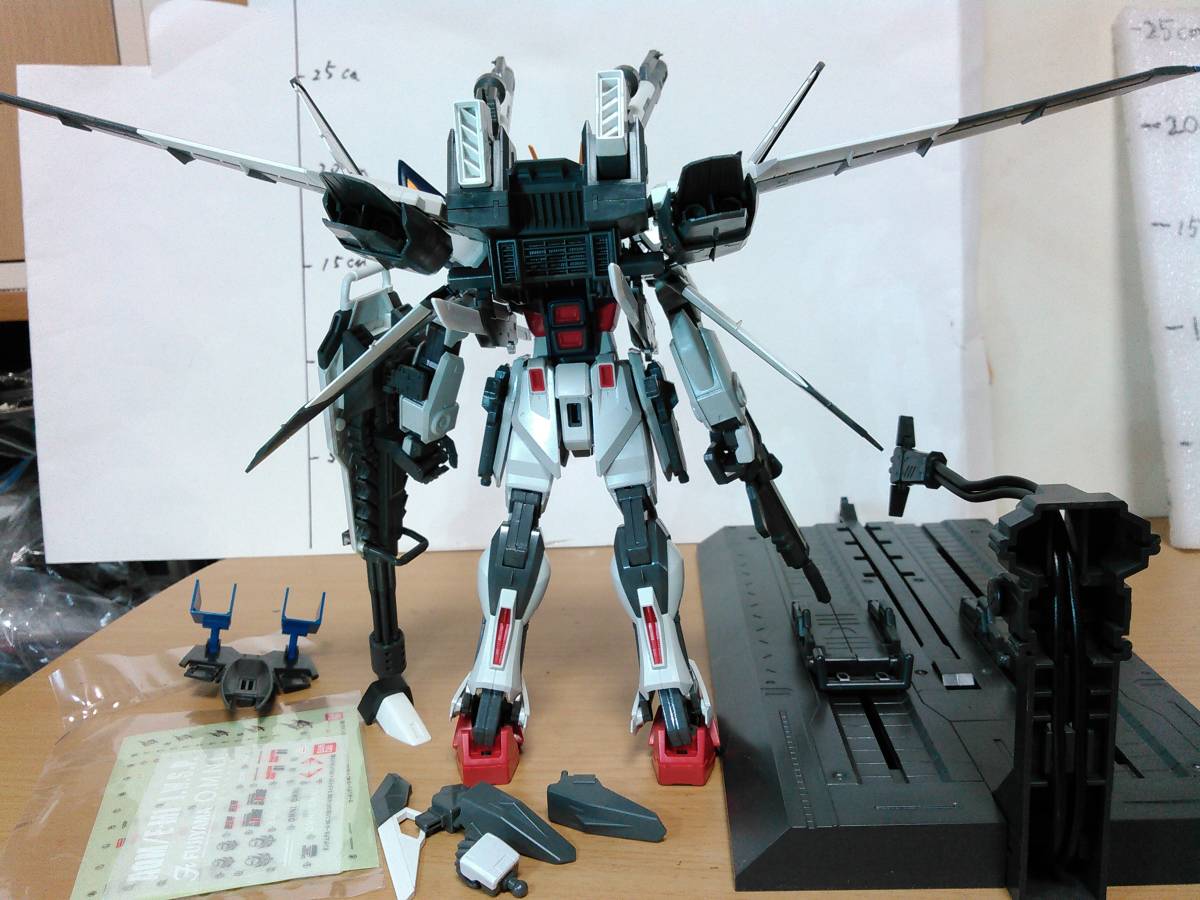 MG 1/100 ガンダム SEED FRAME ASTRAYS ルカス・オドネル専用 ストライクE I.W.S.P 完成品 フィギュア ガンプラ ジャンク プレバン 限定_背部の画像、画像が全て