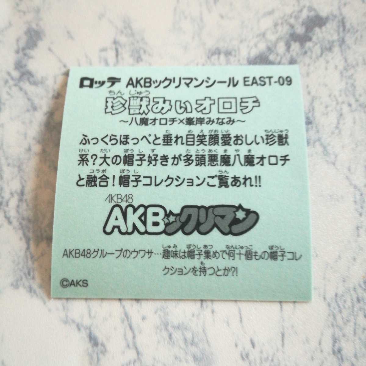 送料無料（沖縄配送） AKB48 big シールくじ | www.aosfiji.org