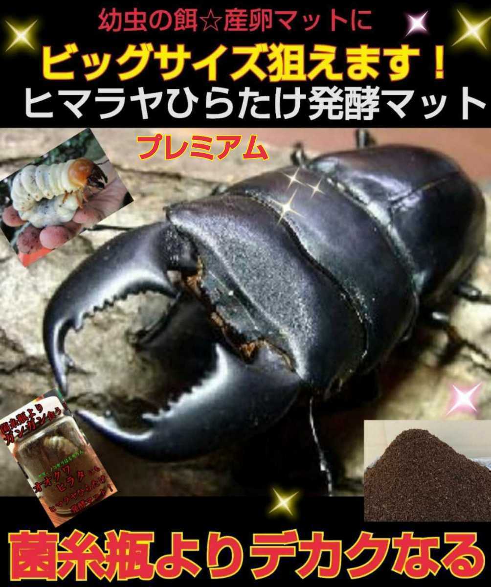  stag beetle. the first . larva. control . convenience! special selection premium 3 next departure . mat entering pudding cup [20 set ] the smallest particle .mo Limo li meal .. size up does!