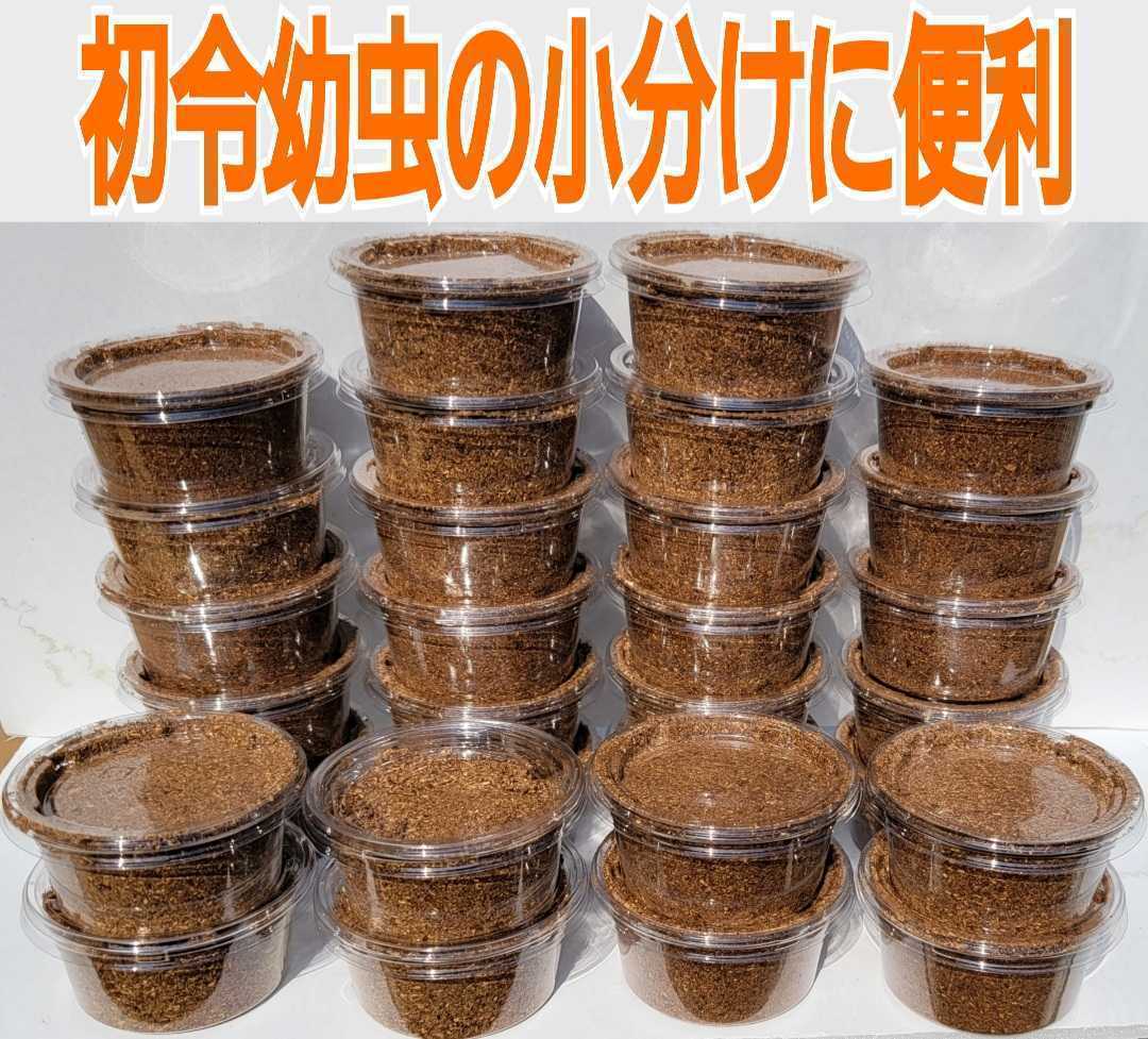  stag beetle. the first . larva. control . convenience! special selection premium 3 next departure . mat entering pudding cup [20 set ] the smallest particle .mo Limo li meal .. size up does!