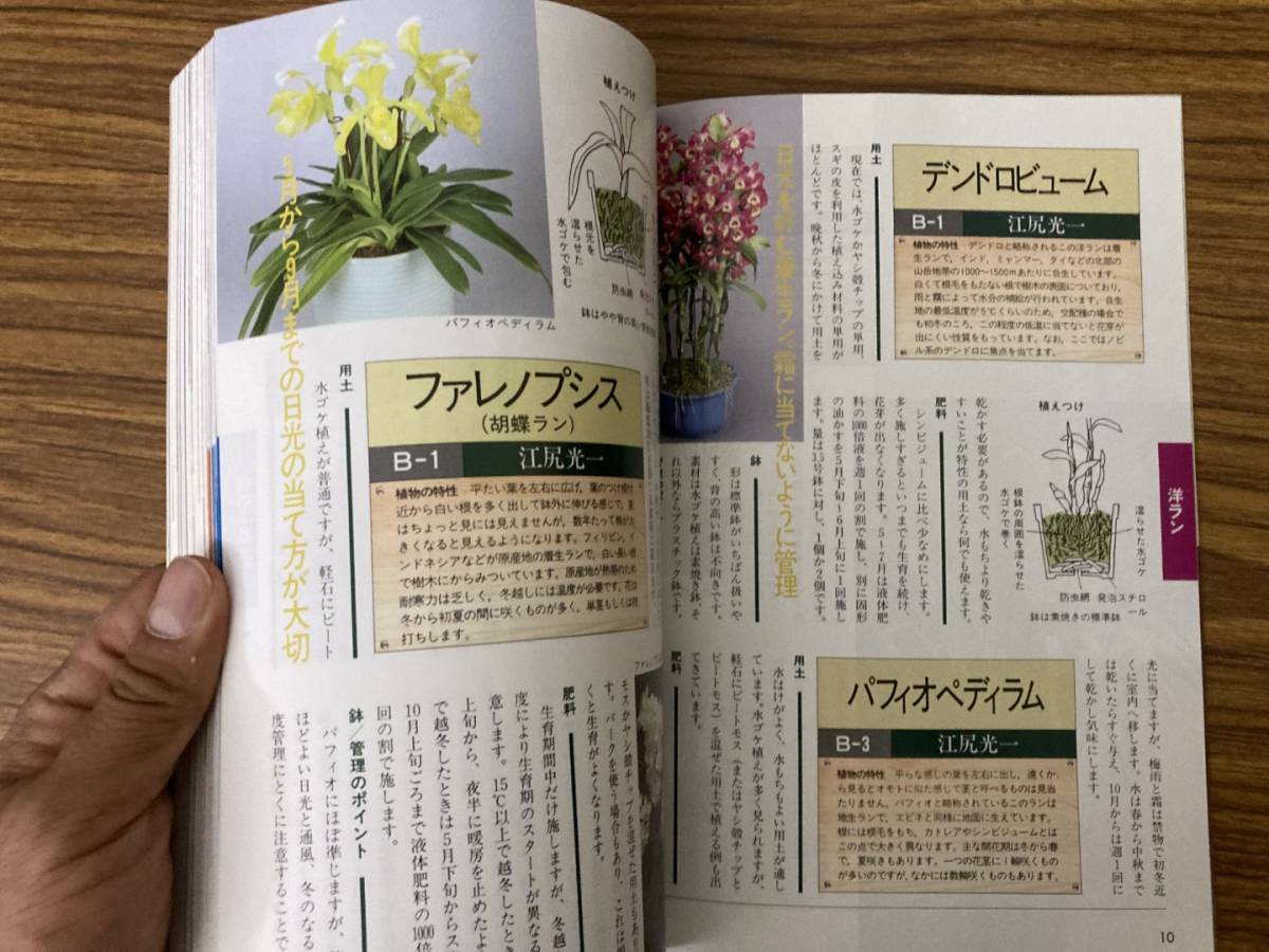 別冊NHK趣味の園芸 栽培上手になる 土 肥料 鉢 日本放送出版協会 平成3年 /Z103_画像3
