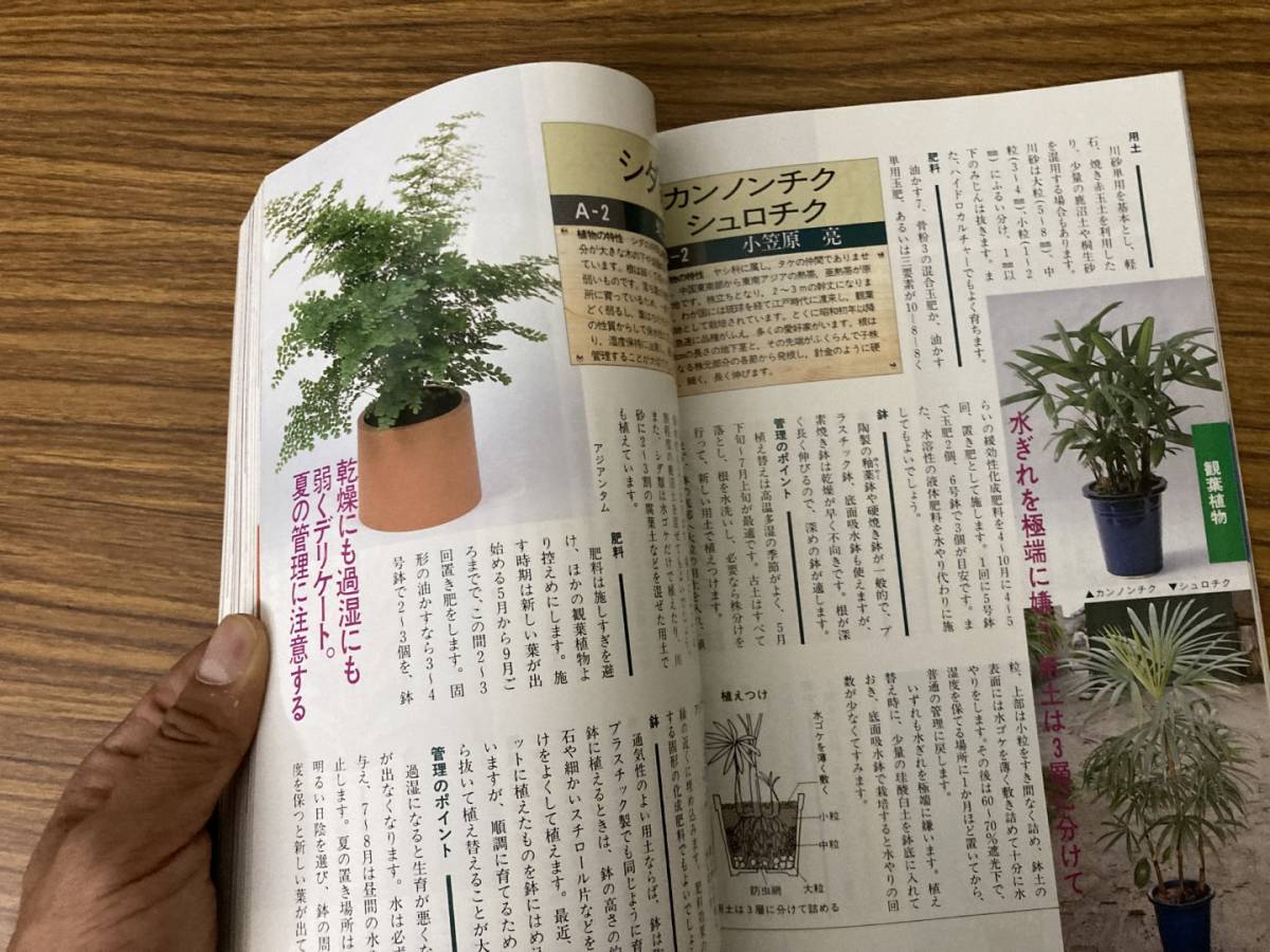 別冊NHK趣味の園芸 栽培上手になる 土 肥料 鉢 日本放送出版協会 平成3年 /Z103_画像7